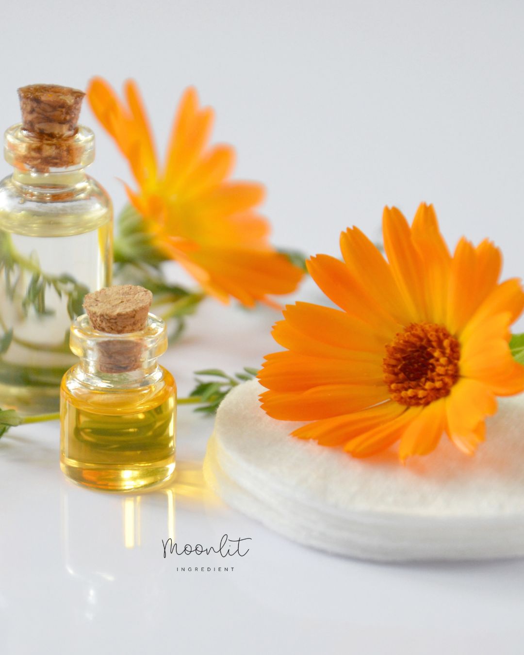 金盞花萃取液 Calendula Extract